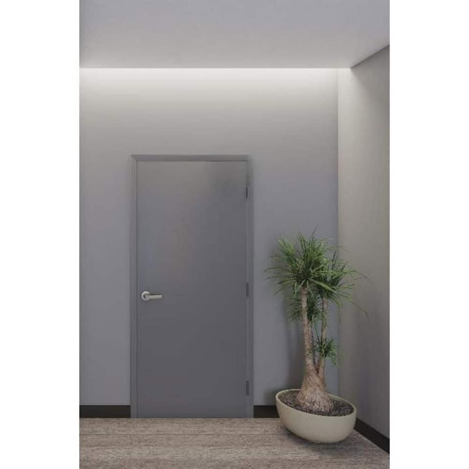 Commercial Metal Door (Door Slab Only)