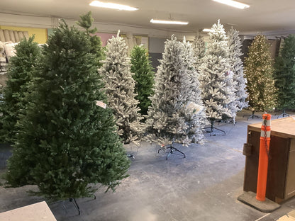 Christmas Trees