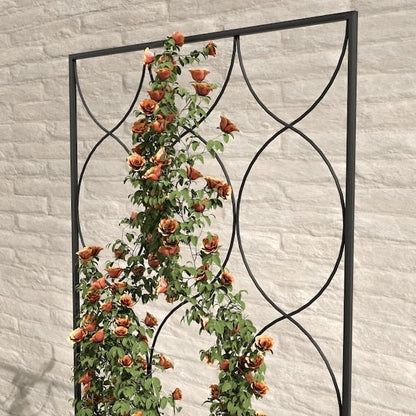Trellis in Black