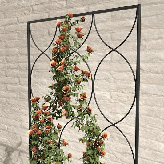 Trellis in Black