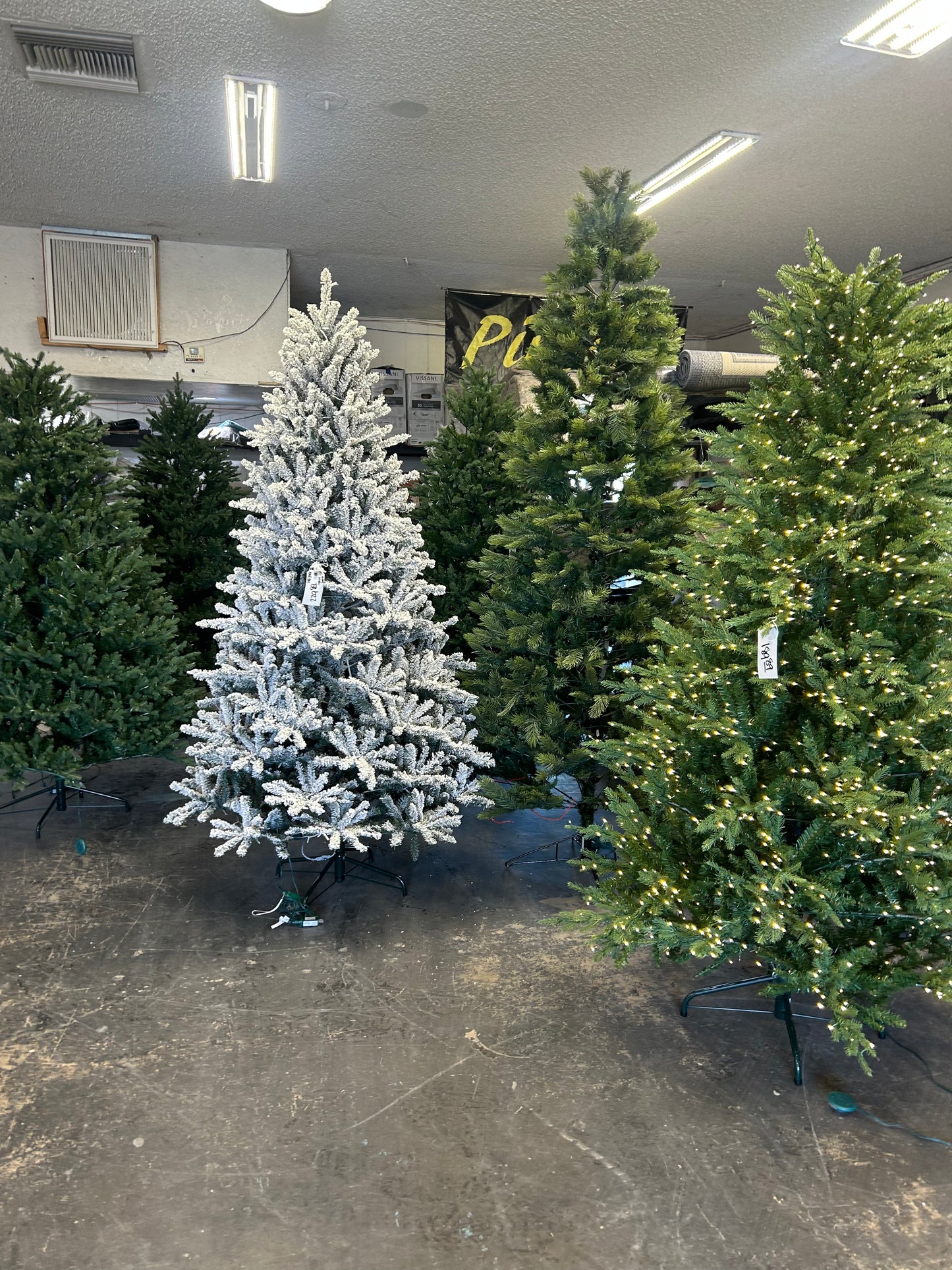 Christmas Trees