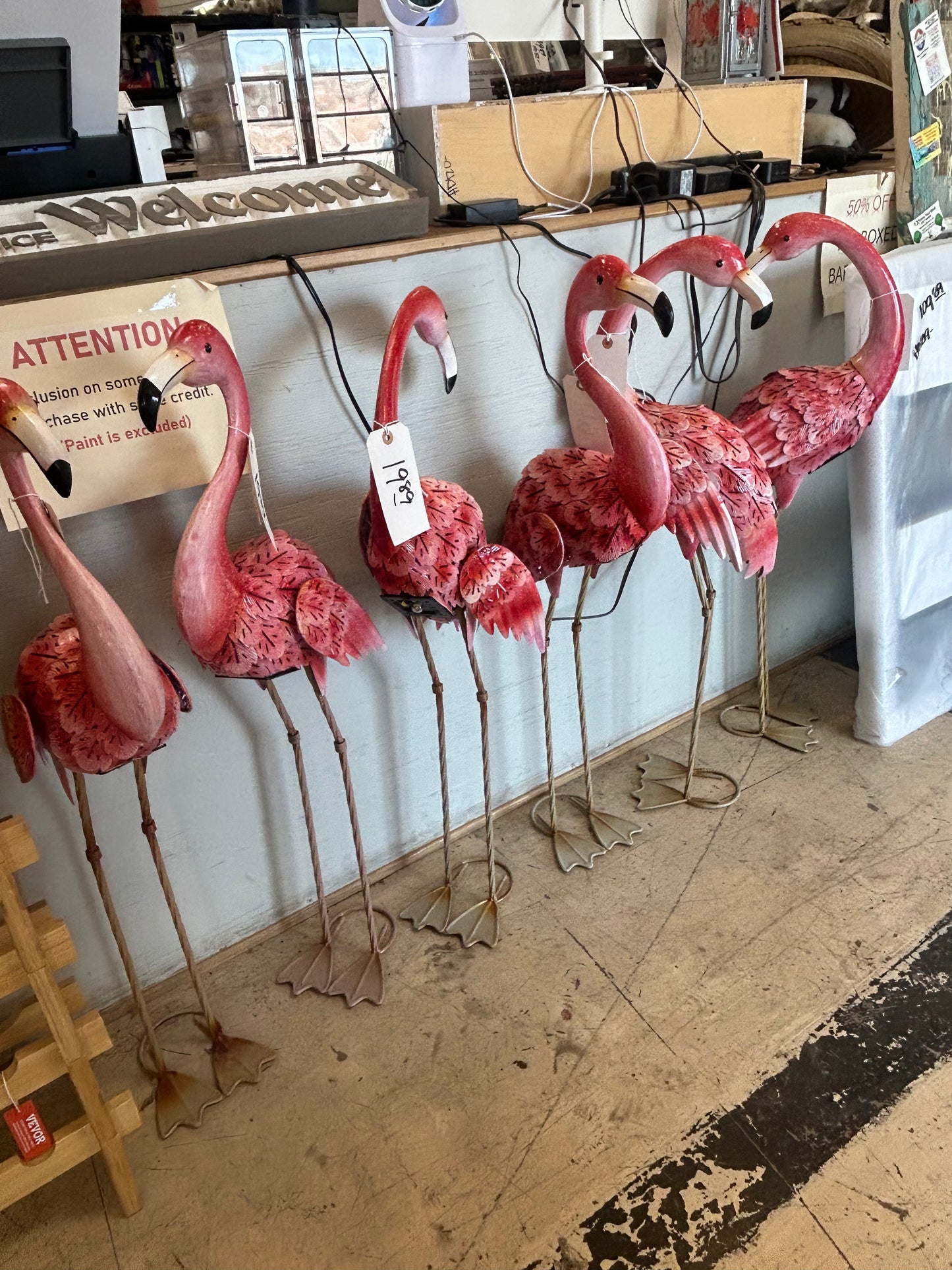 Flamingos