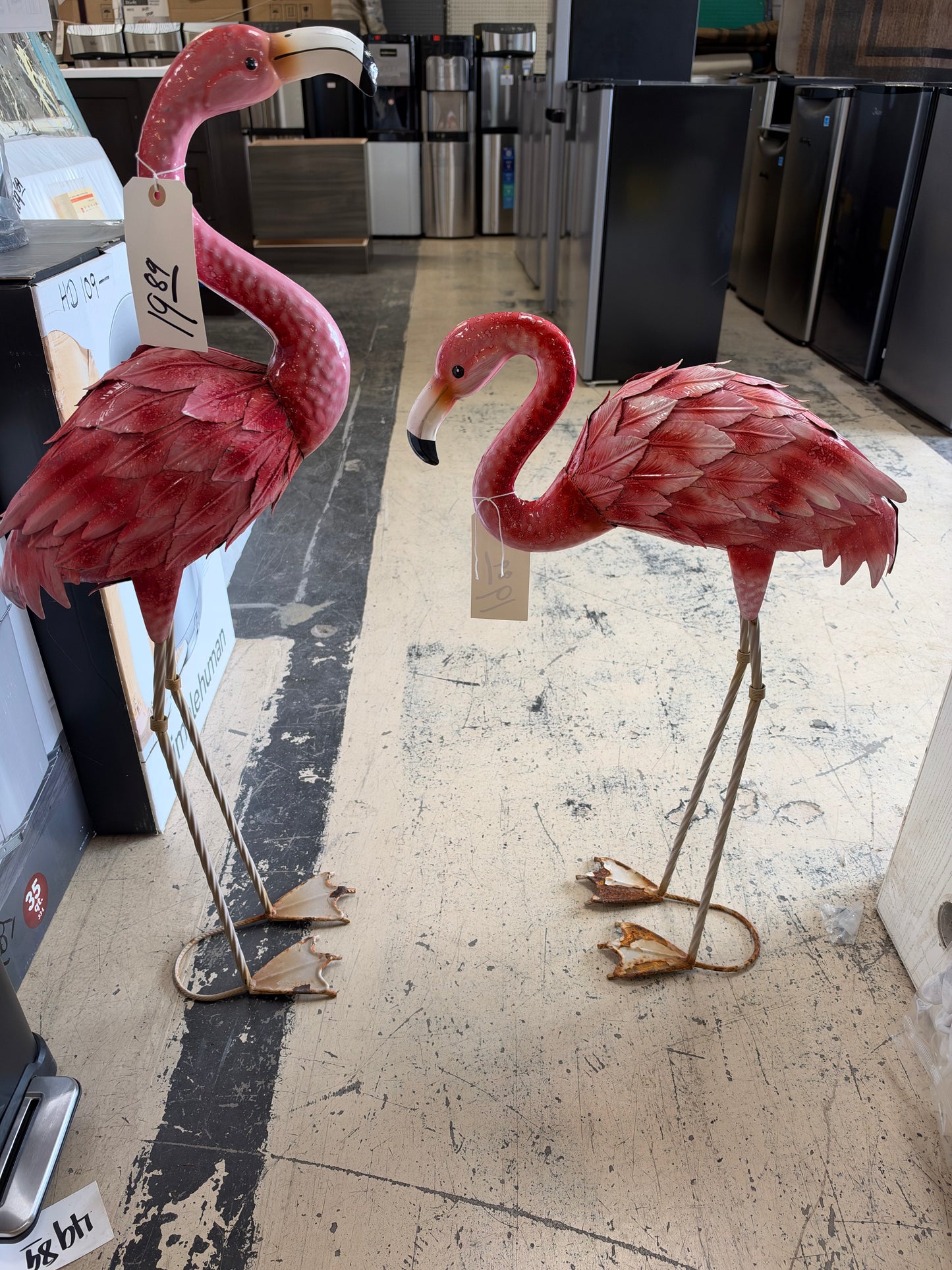 Solar flamingos