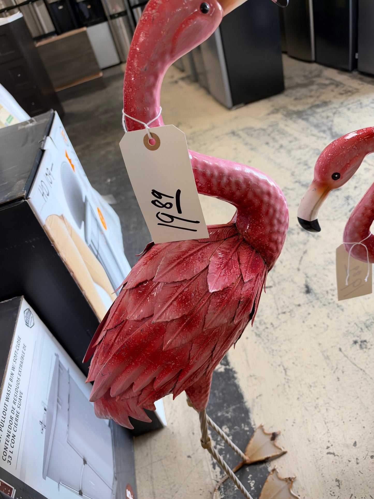 Solar flamingos