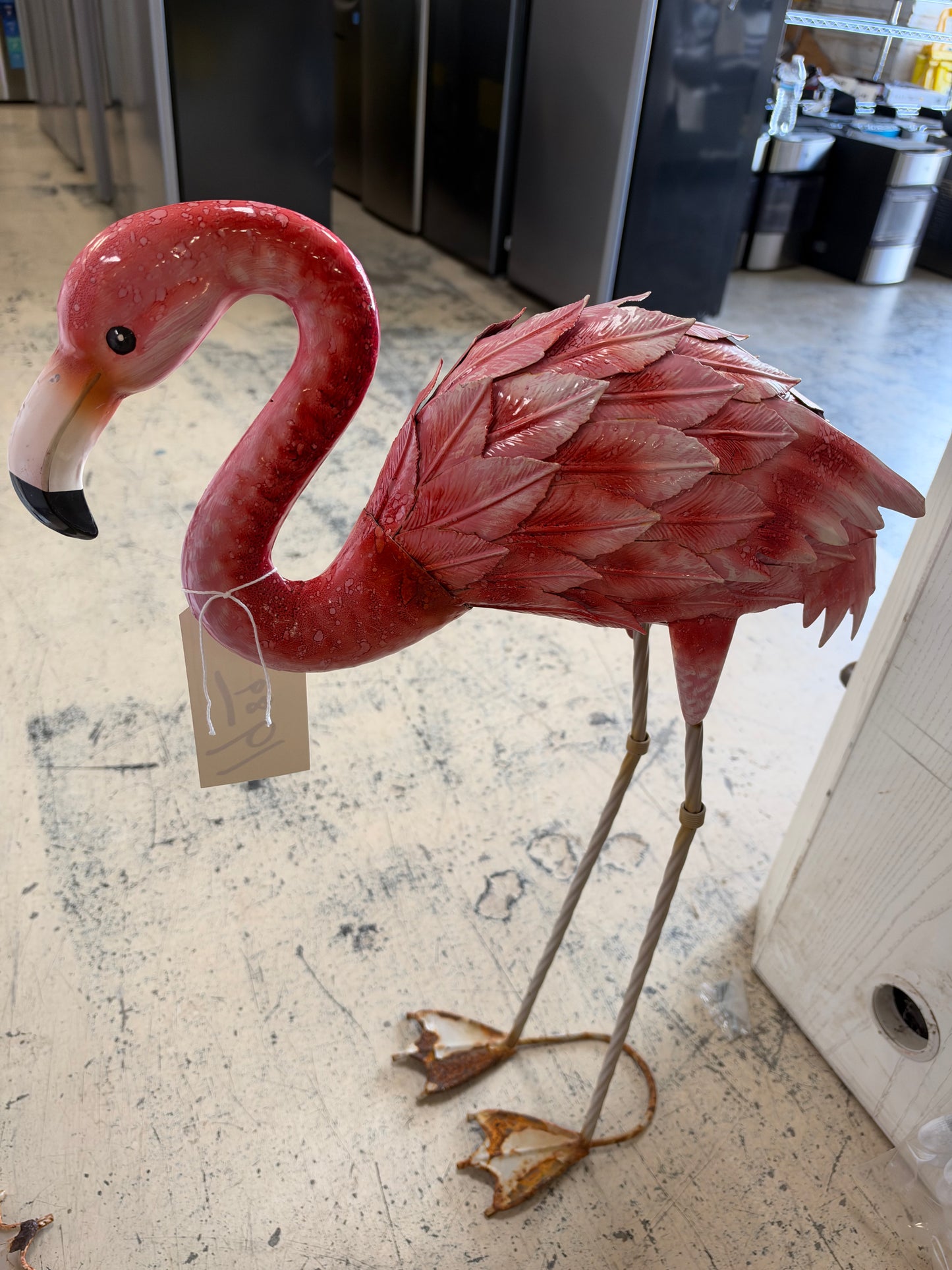 Solar flamingos