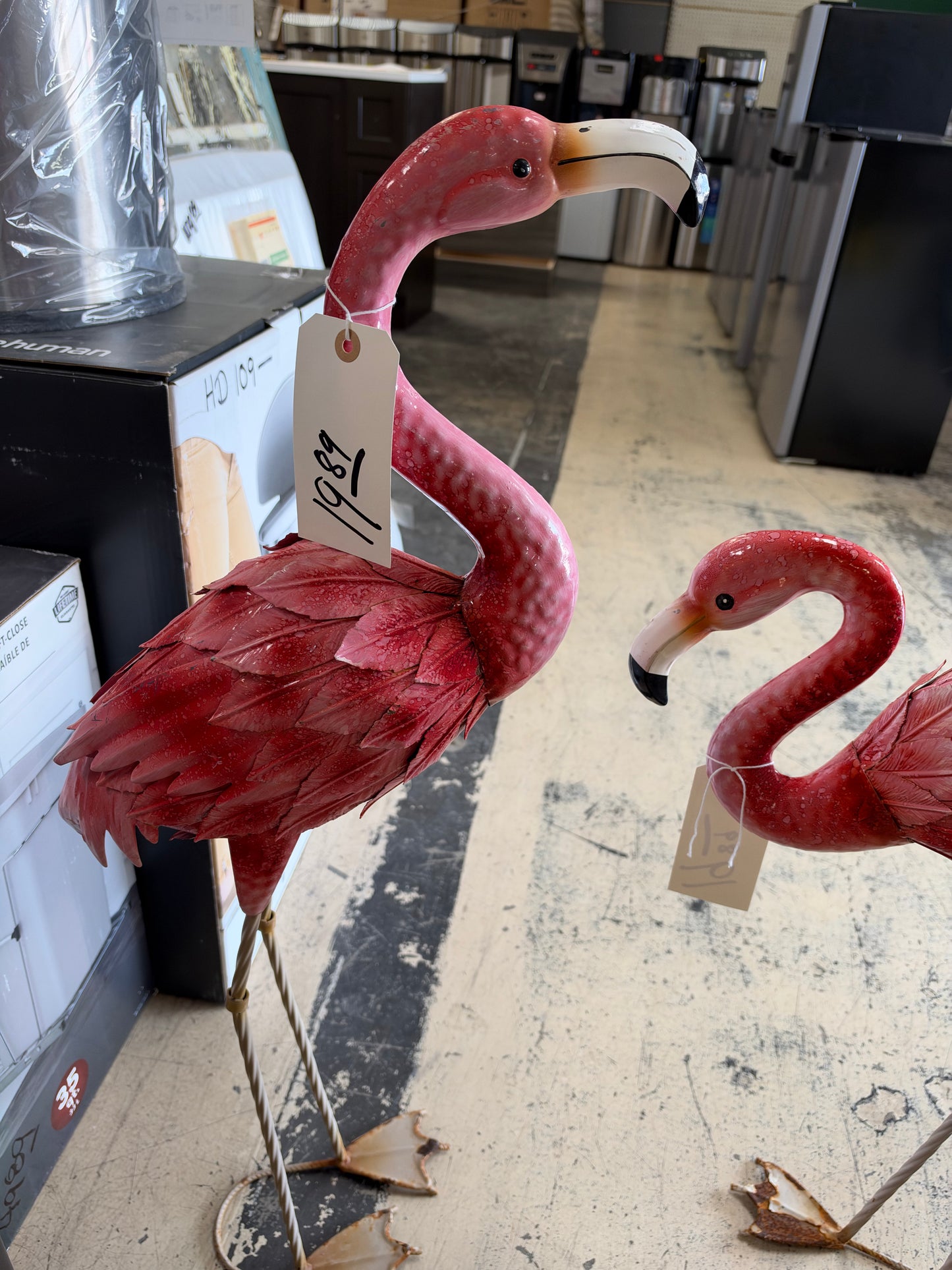 Solar flamingos