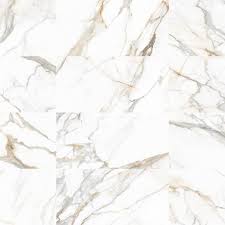 Porcelain Wall and Floor Tile