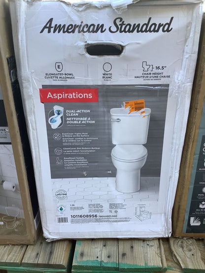 Toilets, Toilets, Toilets