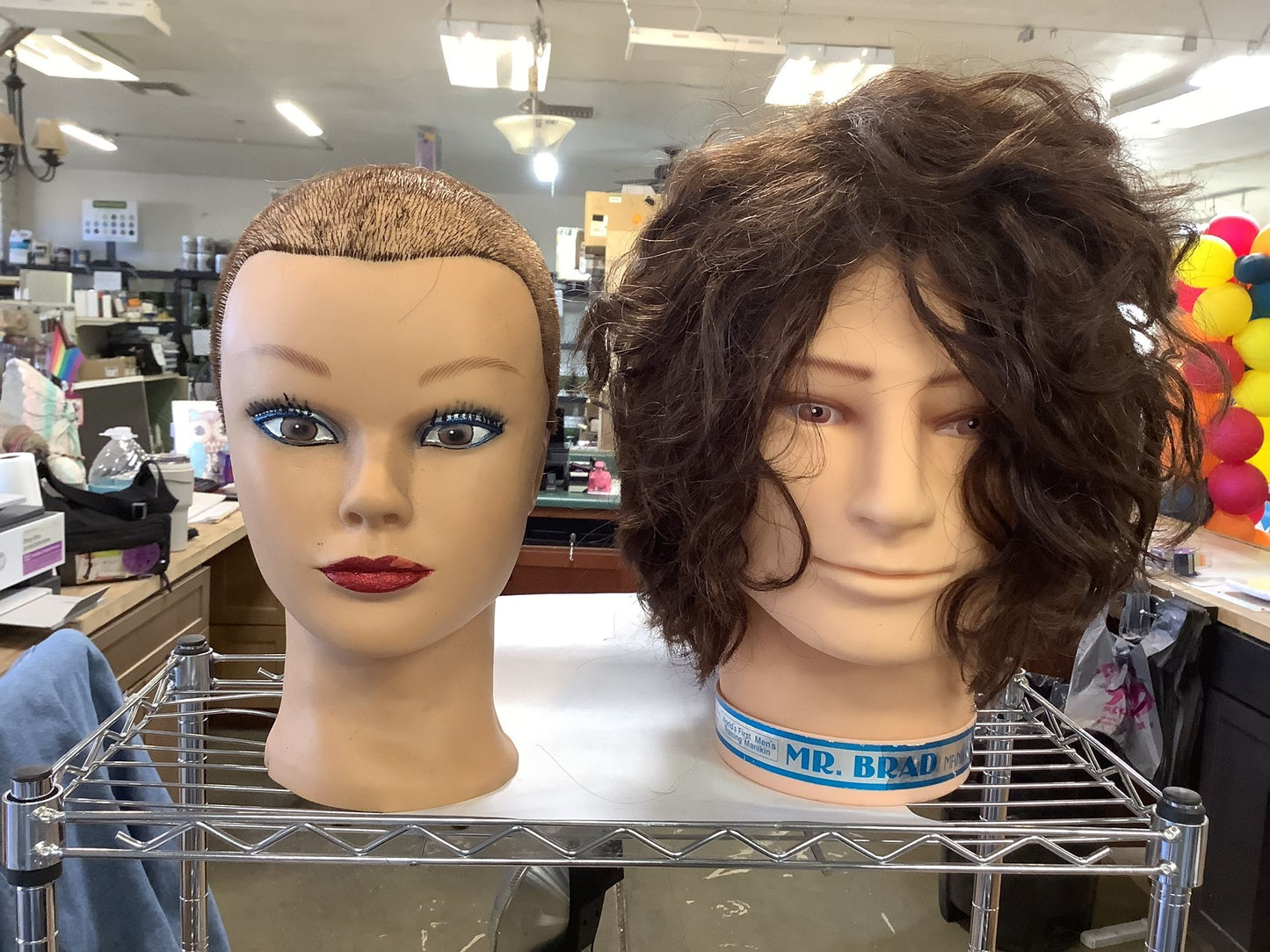 Mannequin Heads