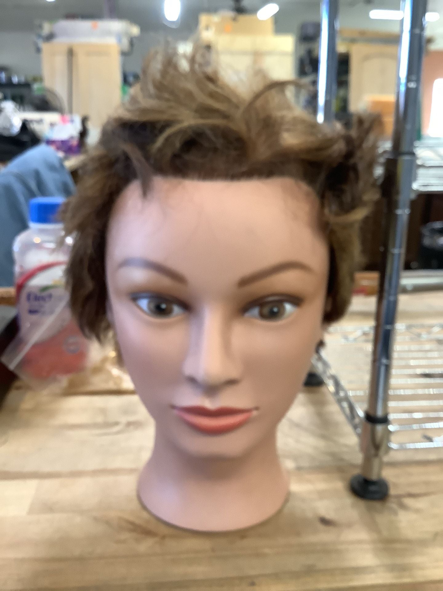 Mannequin Heads