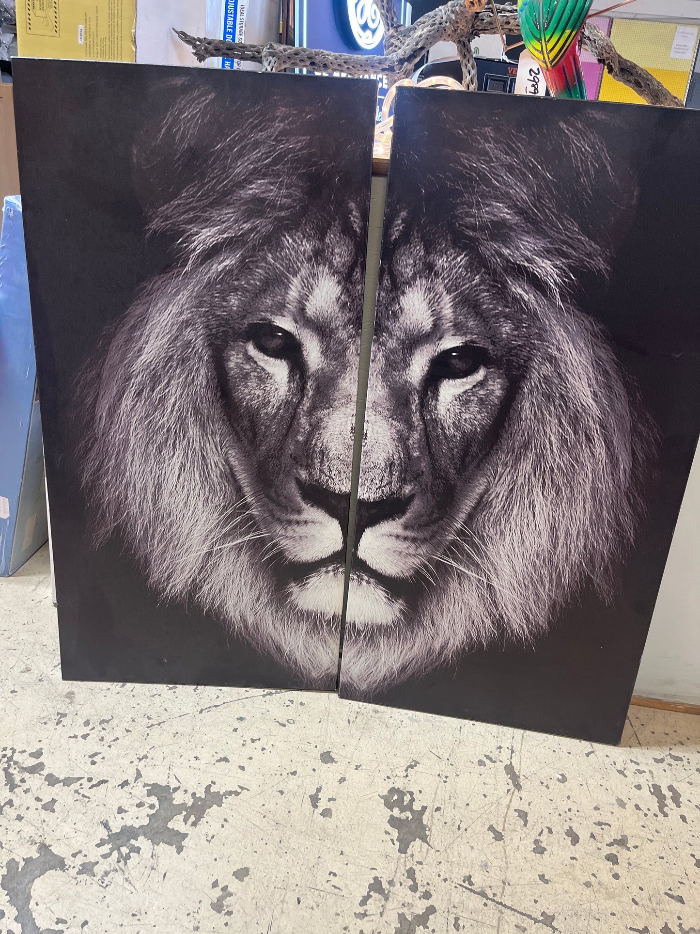 We aren’t lying. But we do have a lion.