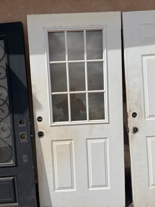 Nine light steel front door